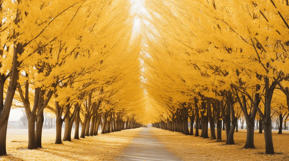 Inside Arbor's studio: Designing the next big tree