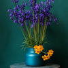 Bluebells