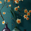 Daffodils