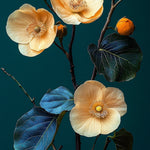 Gloxinia