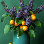 Lilacs