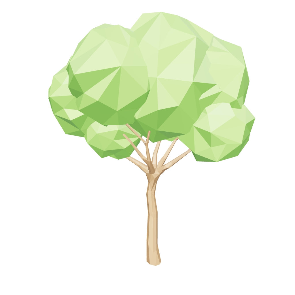 Agosto bonsai tree