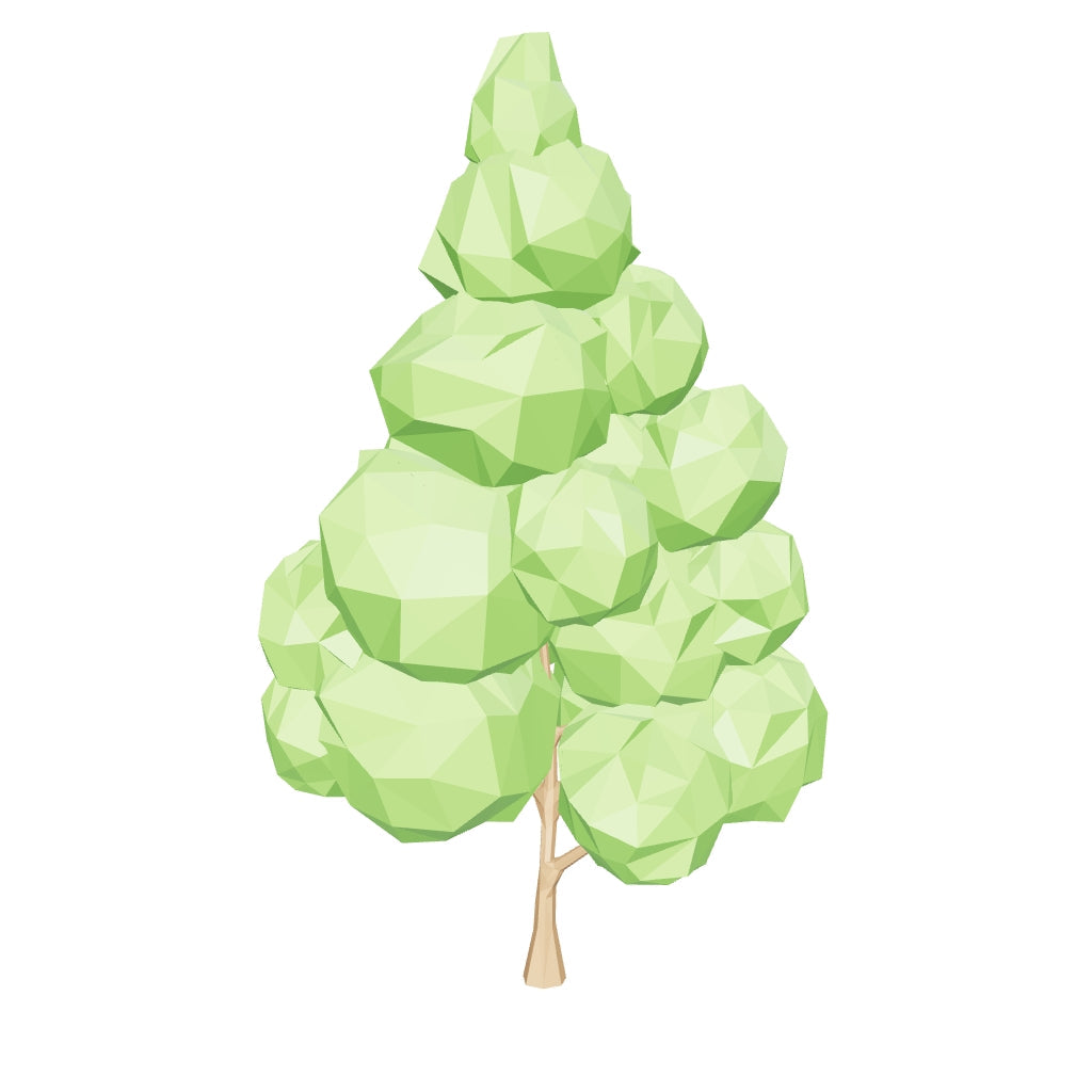 Albero di sequoia Augustus