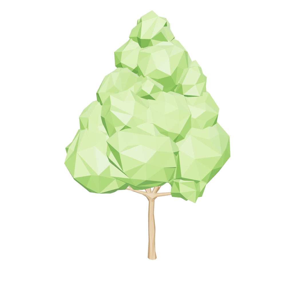 Albero di sequoia Augustus