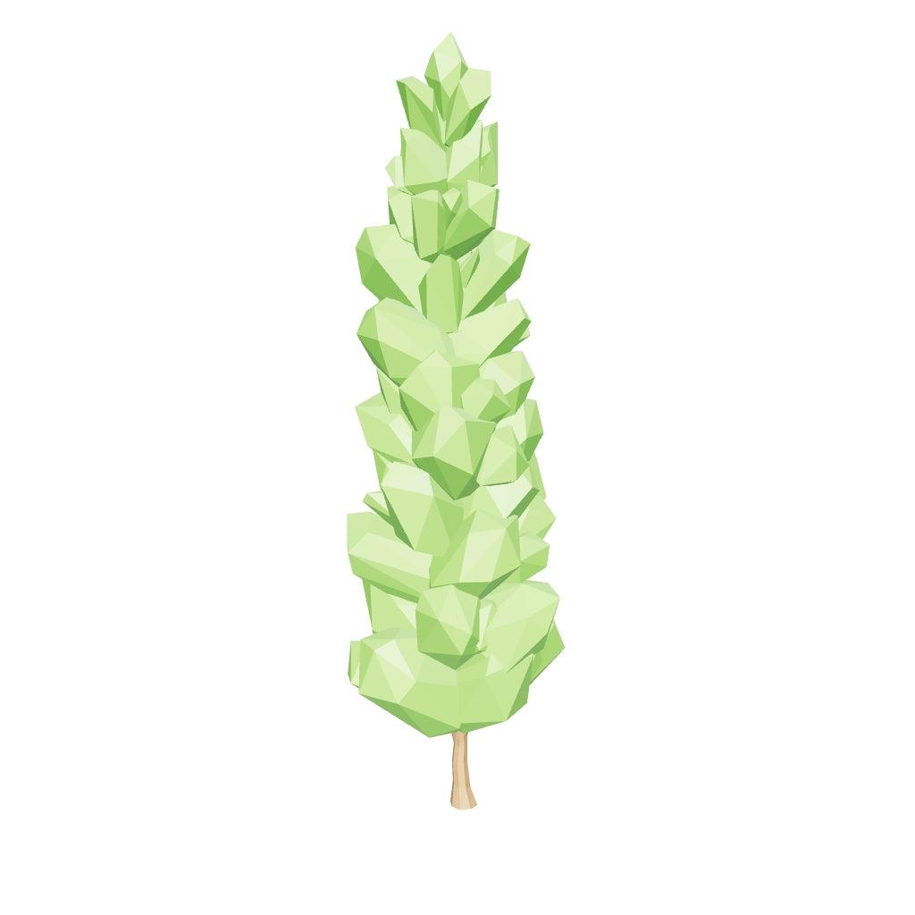 Albero di sequoia Augustus