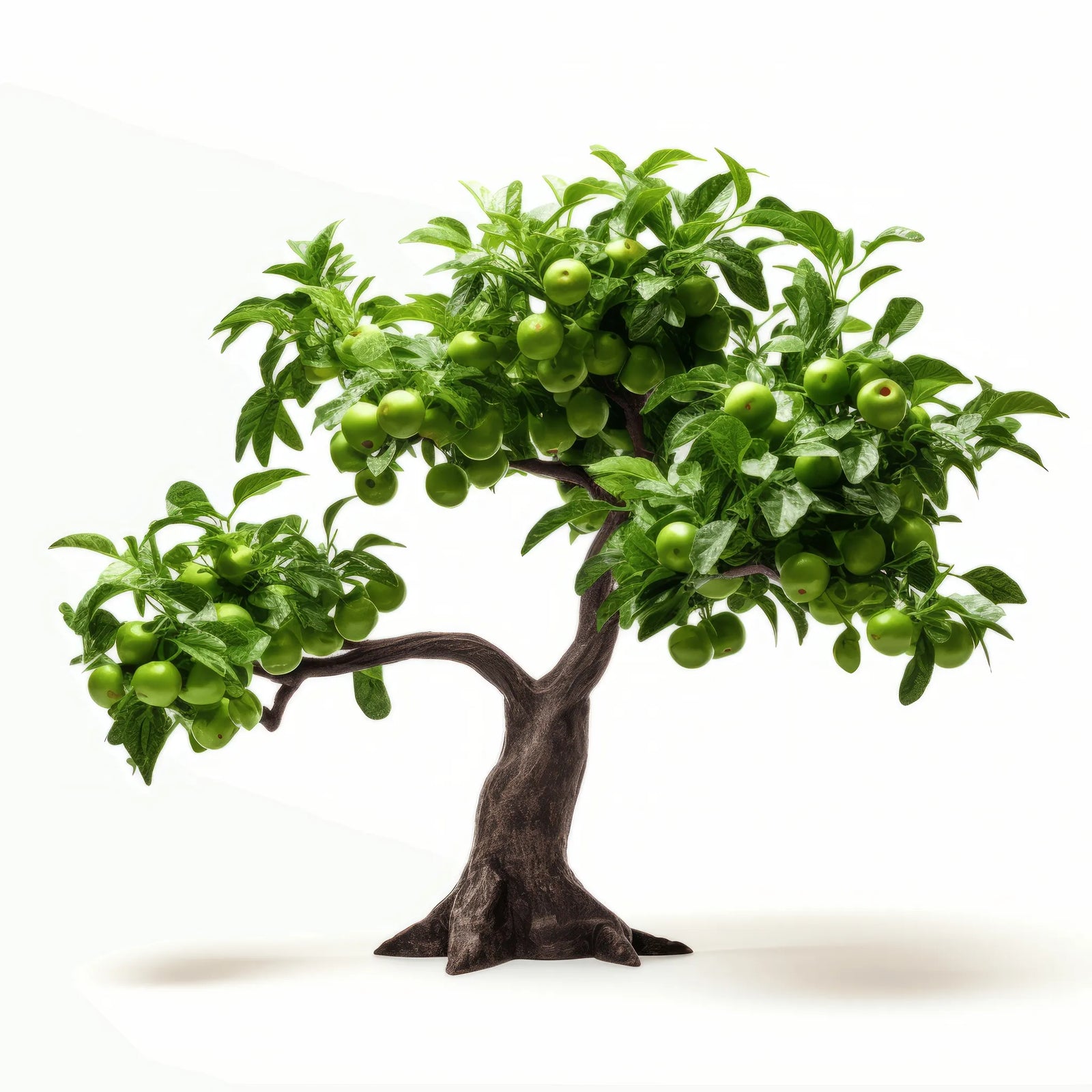 Adah apple tree