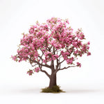 Aletha flower tree