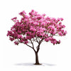 Aleu flower tree