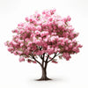 Aleyna flower tree
