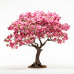 Alfgifu flower tree