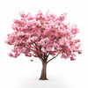 Alice flower tree