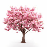 Alice flower tree