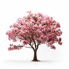 Alighiero flower tree