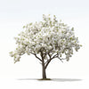 Alika flower tree