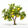 Ancel lemon tree