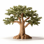 Apphia oak tree