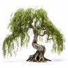 Azel willow tree