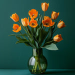 Tulip